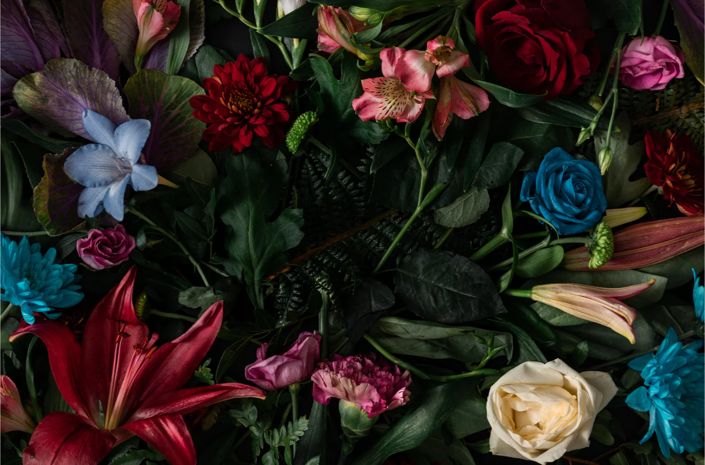 THE RENAISSANCE OF FLORAL